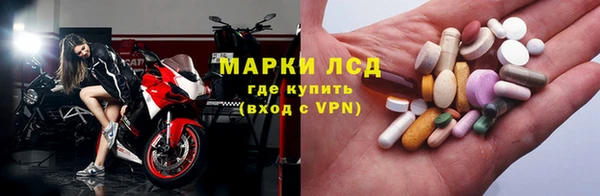 прущие грибы Алзамай