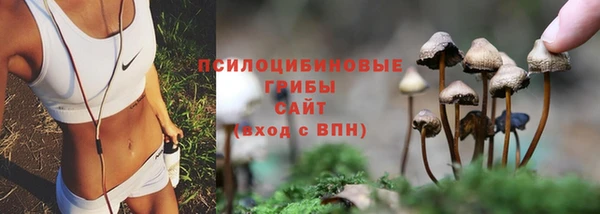 сатива Абдулино