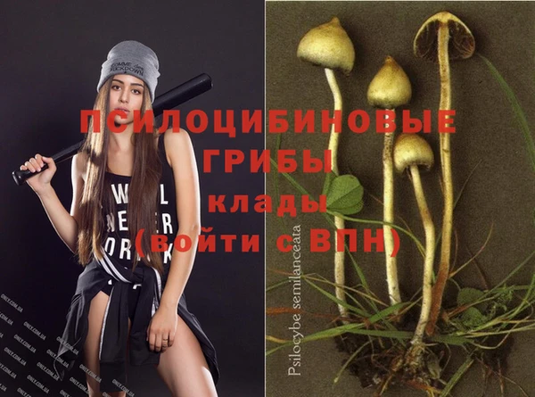 гидра Абинск