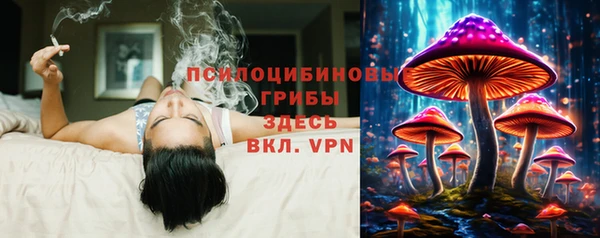 кокаин колумбия Алексин