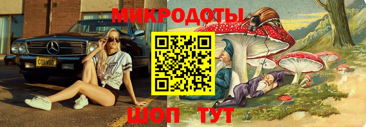 Псилоцибиновые грибы Cubensis Сокол