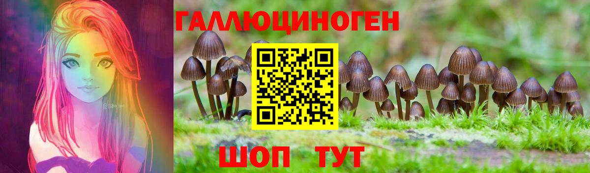 Сокол  Псилоцибиновые грибы мухоморы  Вход с VPN  Псилоцибиновые грибы мицелий 